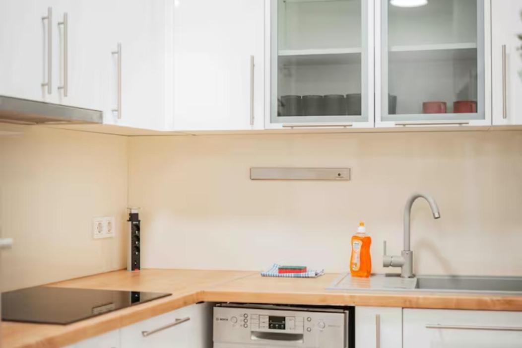 Apartament Next To Schoenbrunn - Free Parking !!!